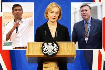 Rishi Sunak's allies launch blitz on party bosses to oust Truss from No10