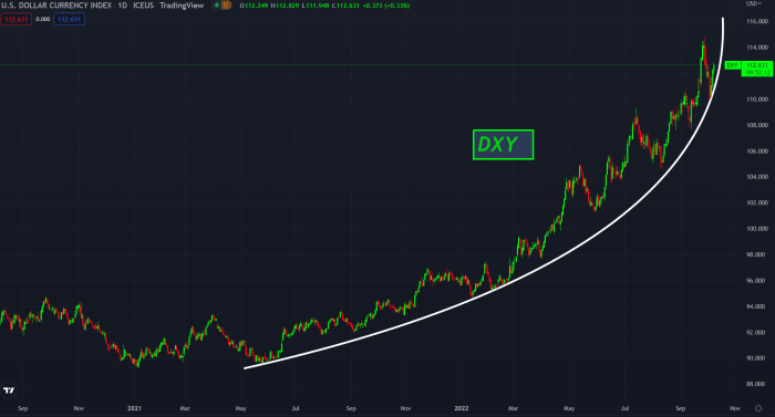 The dollar wrecking ball is hurting emerging markets and competing currencies alike. Will the U.S. be the last country to print the global reserve currency?