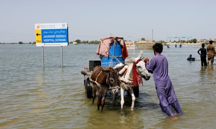 A man pushes his donkey cart on a flooded highway in Pakistan.