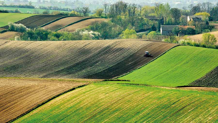 Farmland in Poland