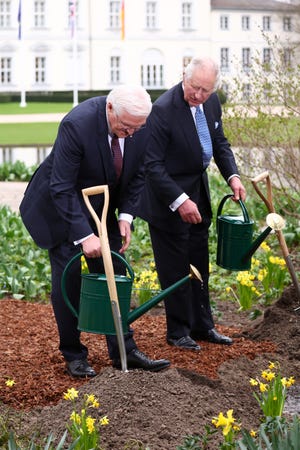 German President Frank-Walter Steinmeier and King Charles III plant a tree as part of the Queen’s Green Canopy initiative in memory of Queen Elizabeth II on March 29, 2023.