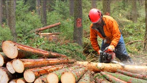 About 49,000 people work in logging, earning an average of $46,000 a year, according to federal statistics.