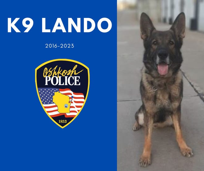Lando, a German shepherd that served more than five years in the K9 unit of the Oshkosh Police Department, was euthanized June 3 after not responding to treatment for an autoimmune disorder.