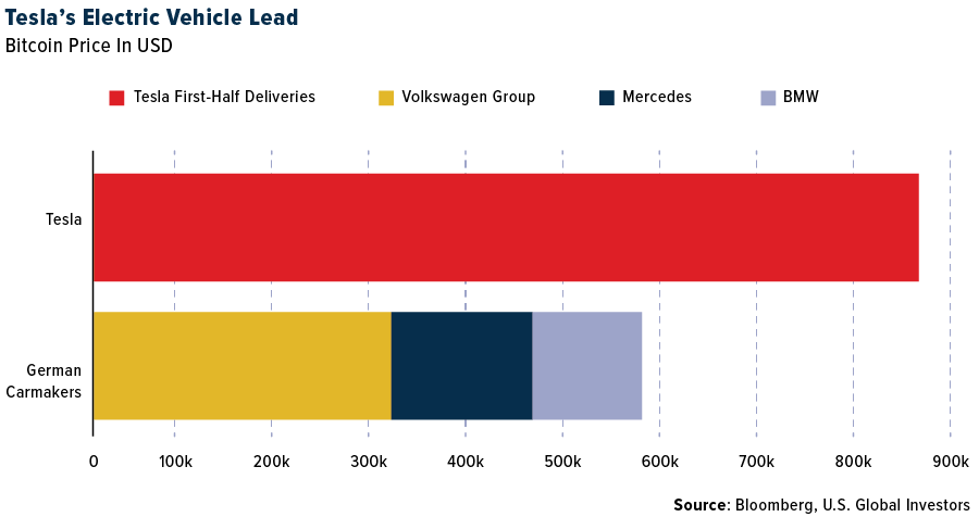 Tesla's Electric Vehicle Lead