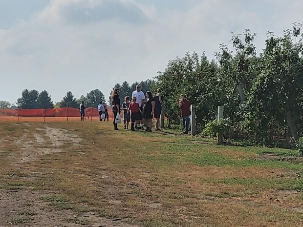 Families enjoy apple picking in the Windy Hill orchards in Rensselaer County .(FILE PHOTO)