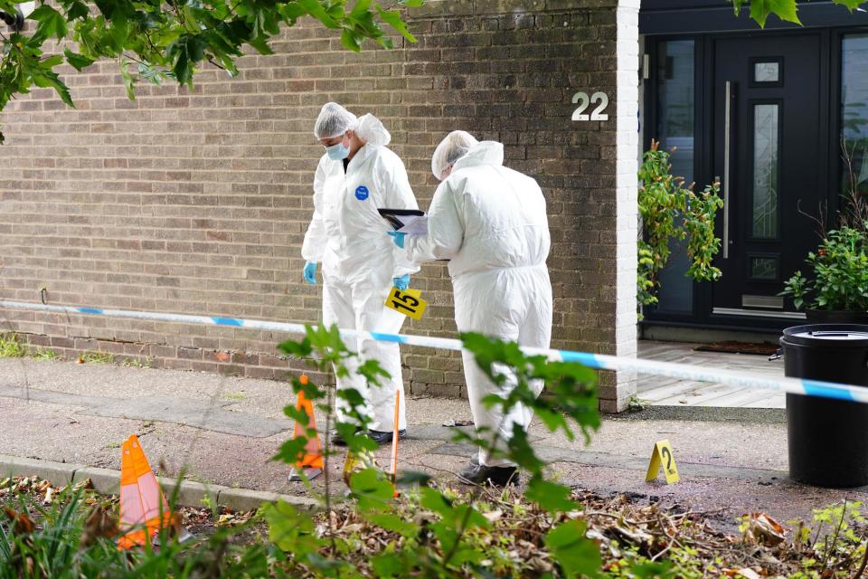 Forensic investigations are underway after a serious dog attack in Bognor Regis (Photo: Eddie Mitchell)