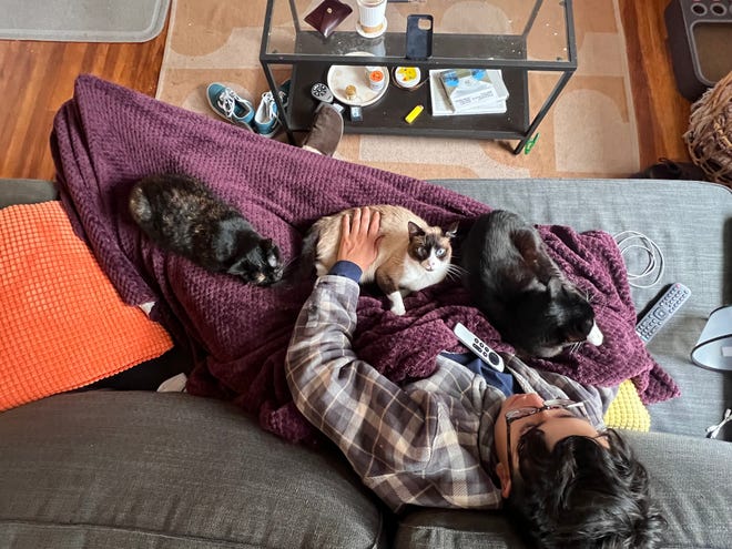 "My cats are my children," 25-year-old Jacob Mata told USA TODAY. The San Francisco political field organizer feeds his cats a human-quality diet of raw meats he buys from a luxury pet store.