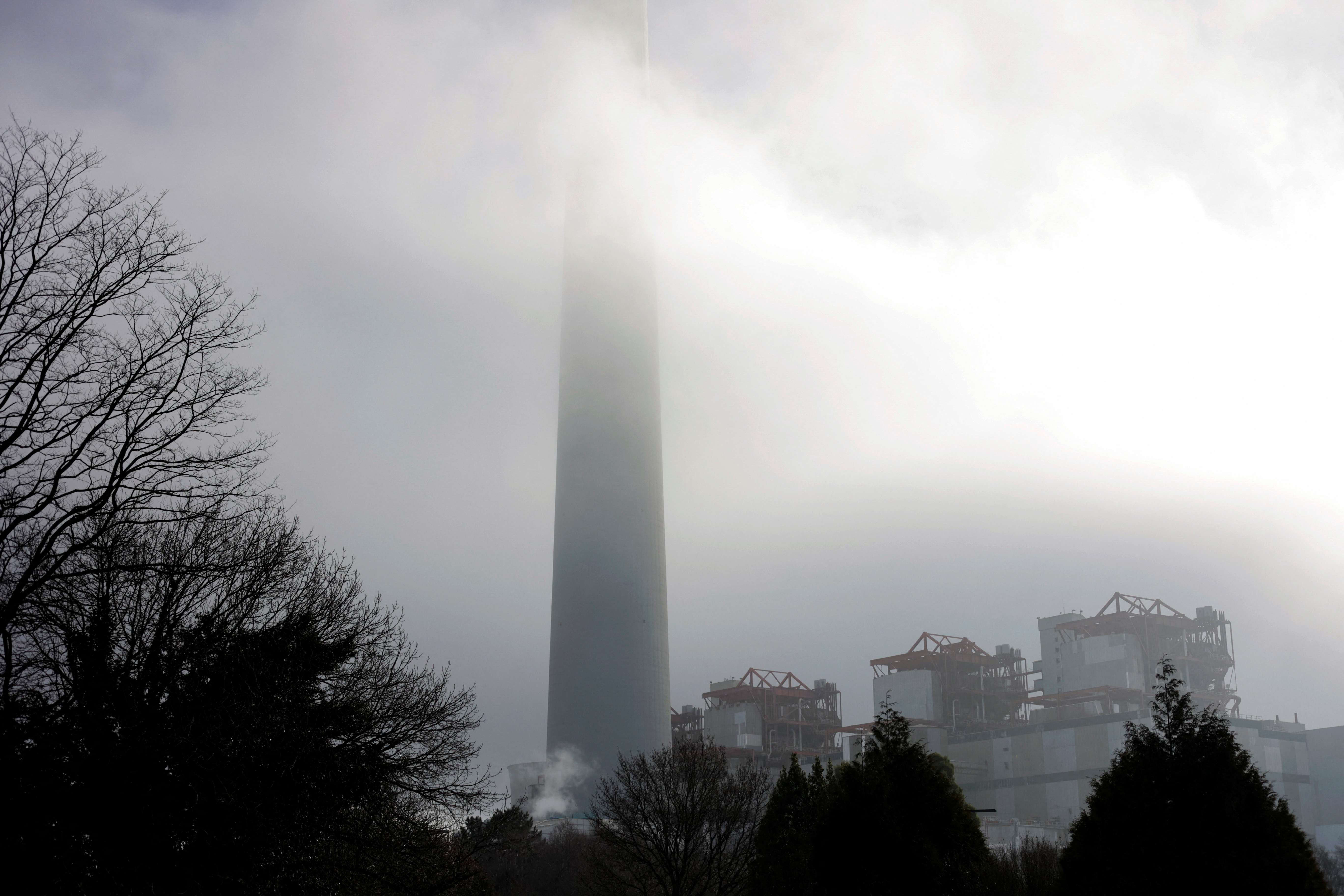 Europe's carbon price nears the 100 euro milestone