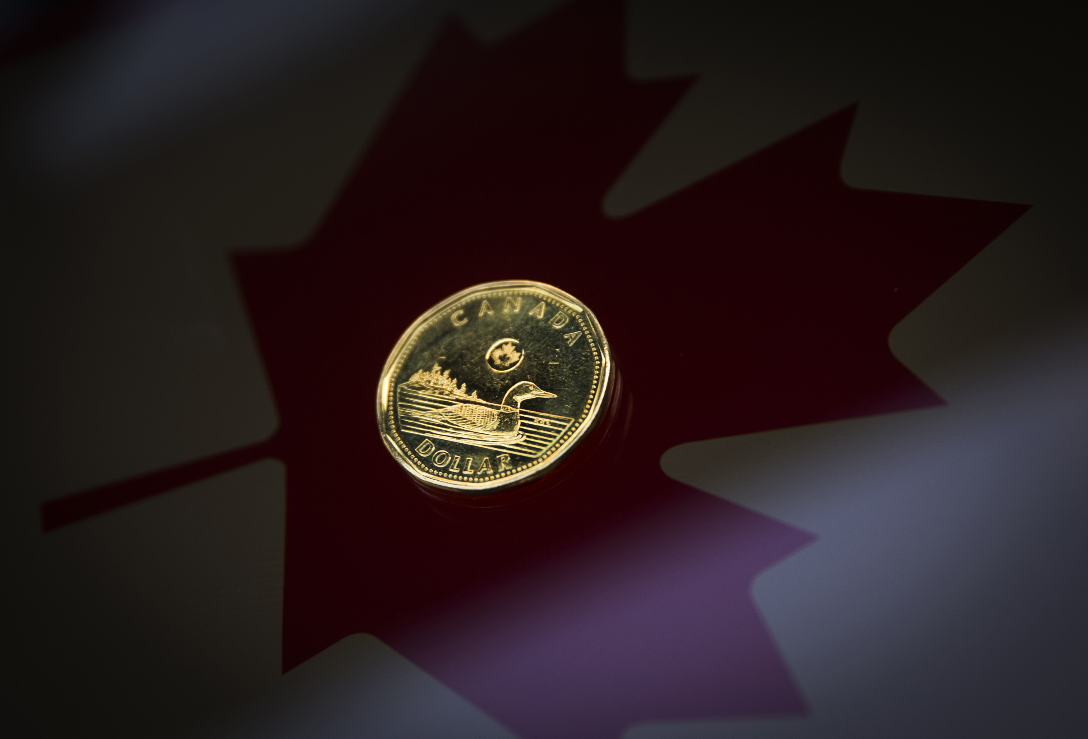 A Canadian dollar coin, commonly known as the "Loonie", is pictured in this illustration picture taken in Toronto