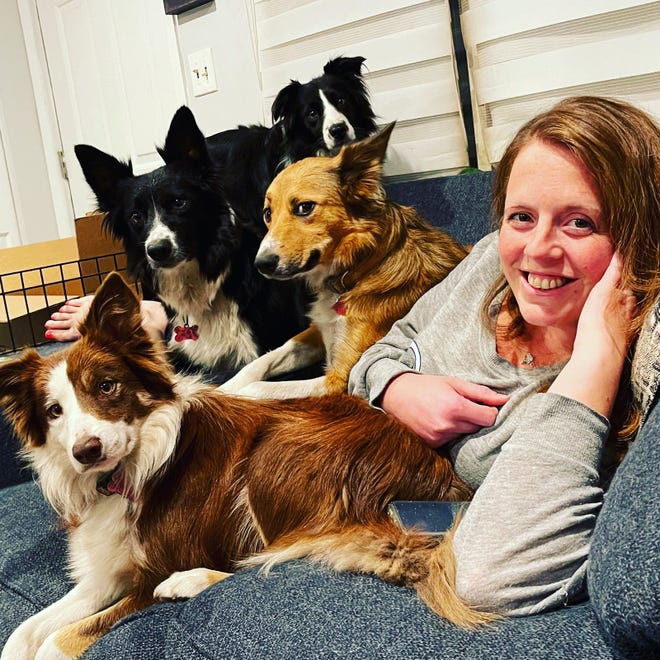 Angela Lande, owner of Angela's Pet Care in Wauconda, Ill. Her love for her dogs inspired her new career.