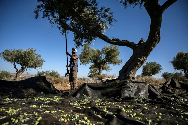 Since October 7, there has been a dramatic rise in assaults by Israeli settlers on Palestinians living in the West Bank (Aris MESSINIS)