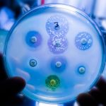 Czechia opposes transferable vouchers for novel antimicrobial products