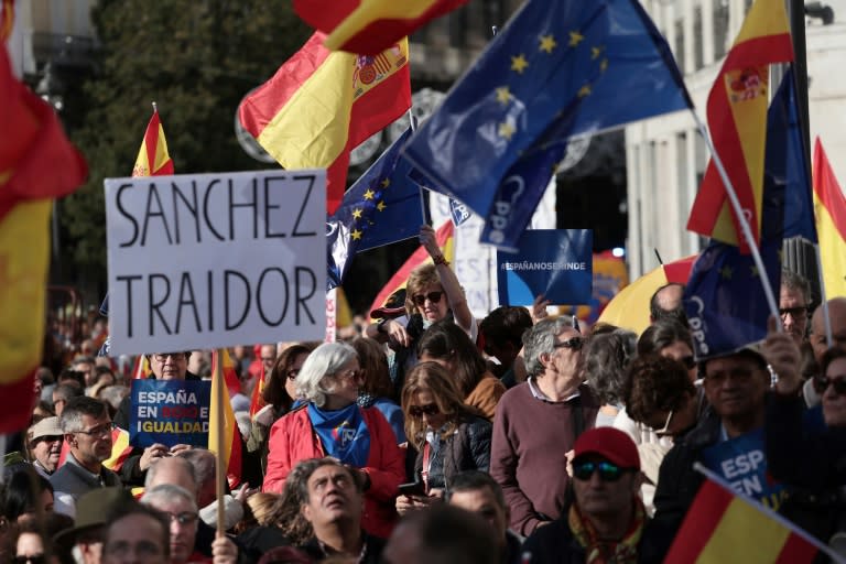 A 'Sanchez traitor' sign at a Madrid protest on Nov. 12 against the Catalan deals offered by Prime Minister Pedro Sanchez (Thomas COEX)
