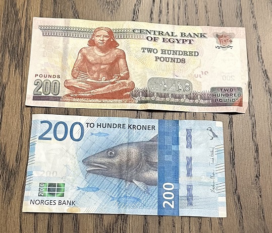 Egyptian and Norwegian Banknotes