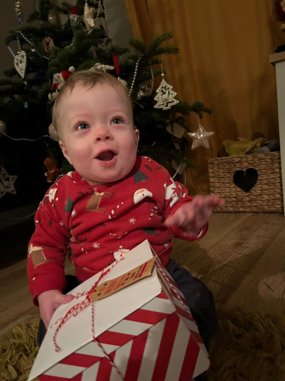 Teddy is enjoying his first Christmas. (Jennifer Blandford/Caters)