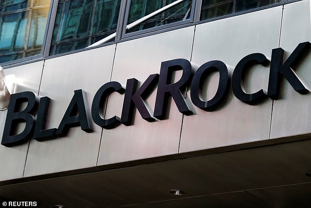 Major investment companies including BlackRock and Fidelity have applied to run Bitcoin ETFs but the US Securities and Exchange Commission (SEC) is yet to permit them