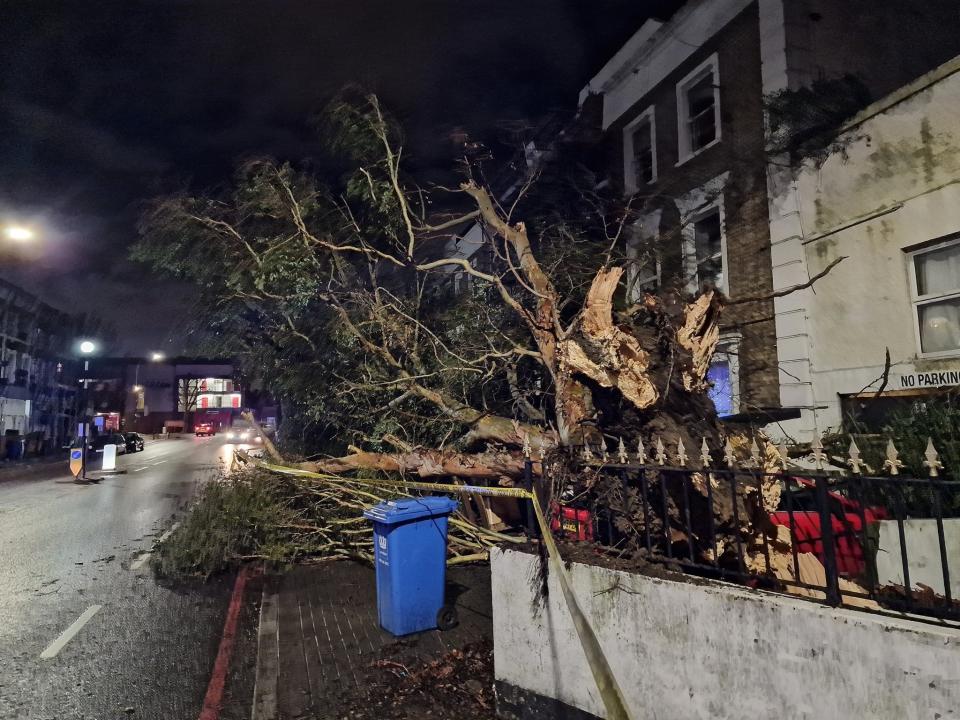 A fallen tree in Forest Hill, London. (Michael Snasdell/PA Wire)