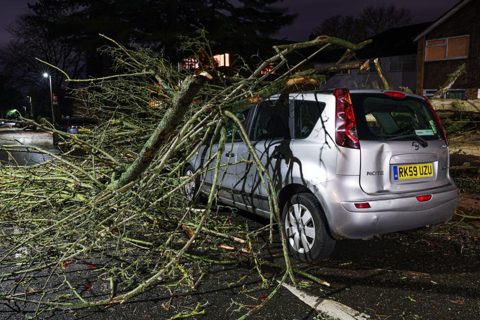 A tree blown over by the wind and landed on a car on Beckenham Grove, Bromley, Kent. (PA)