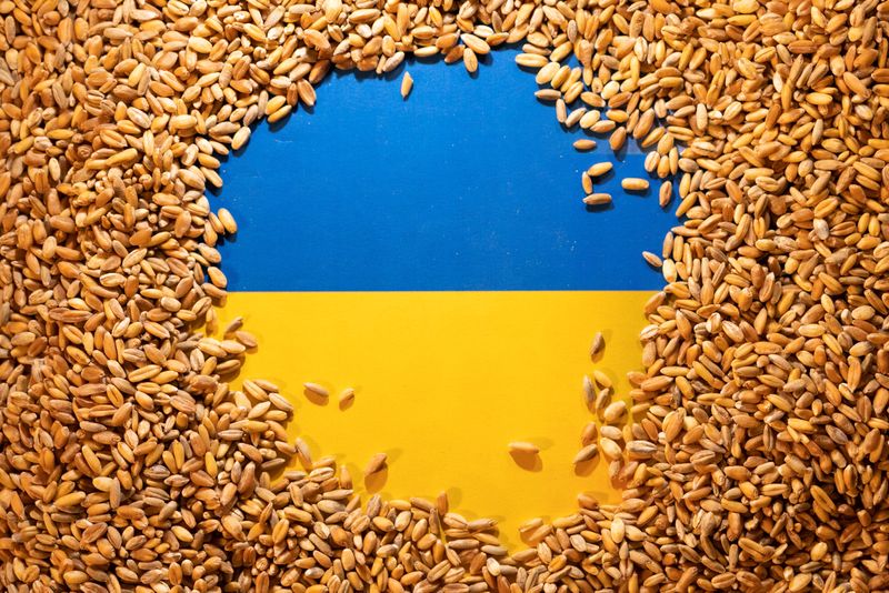 EU's eastern members demand import duties on Ukraine grains