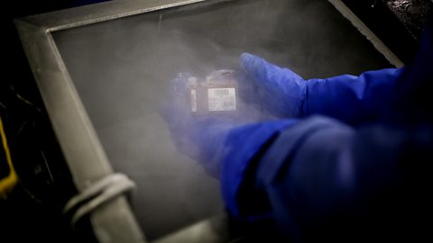 Getty Images The maximum shelf-life of umbilical cord blood in cold storage has yet to be determined as the banks were only established 30 years ago (Credit: Getty Images)