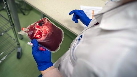 Getty Images A laboratory worker carries a sample of umbilical cord blood (Credit: Getty Images)