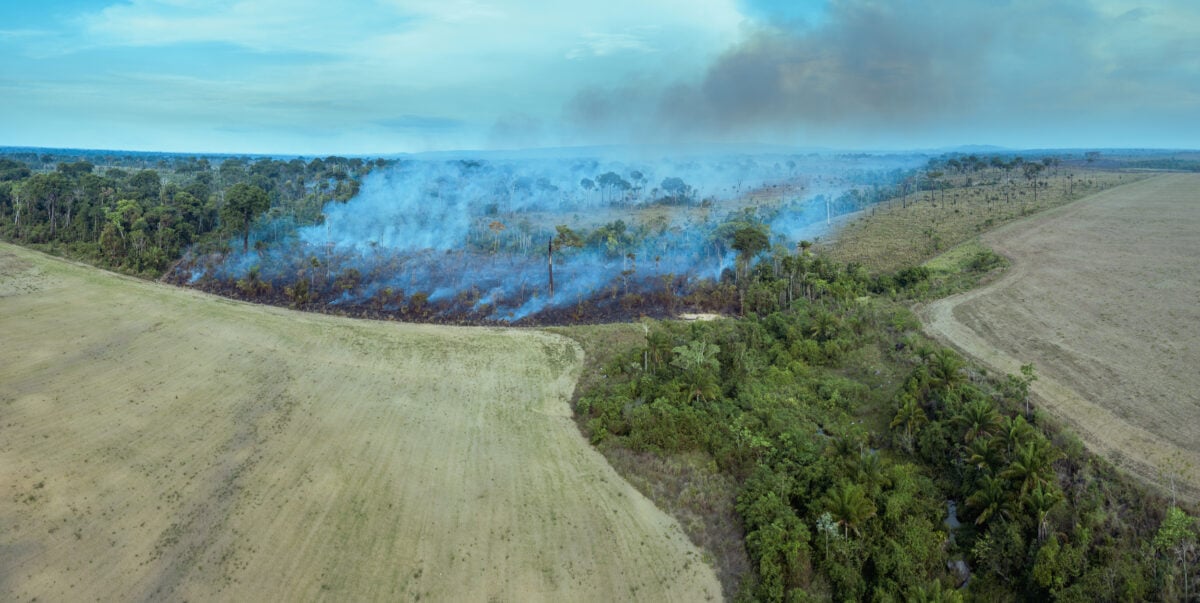 A fire burning in the Amazon Rainforest