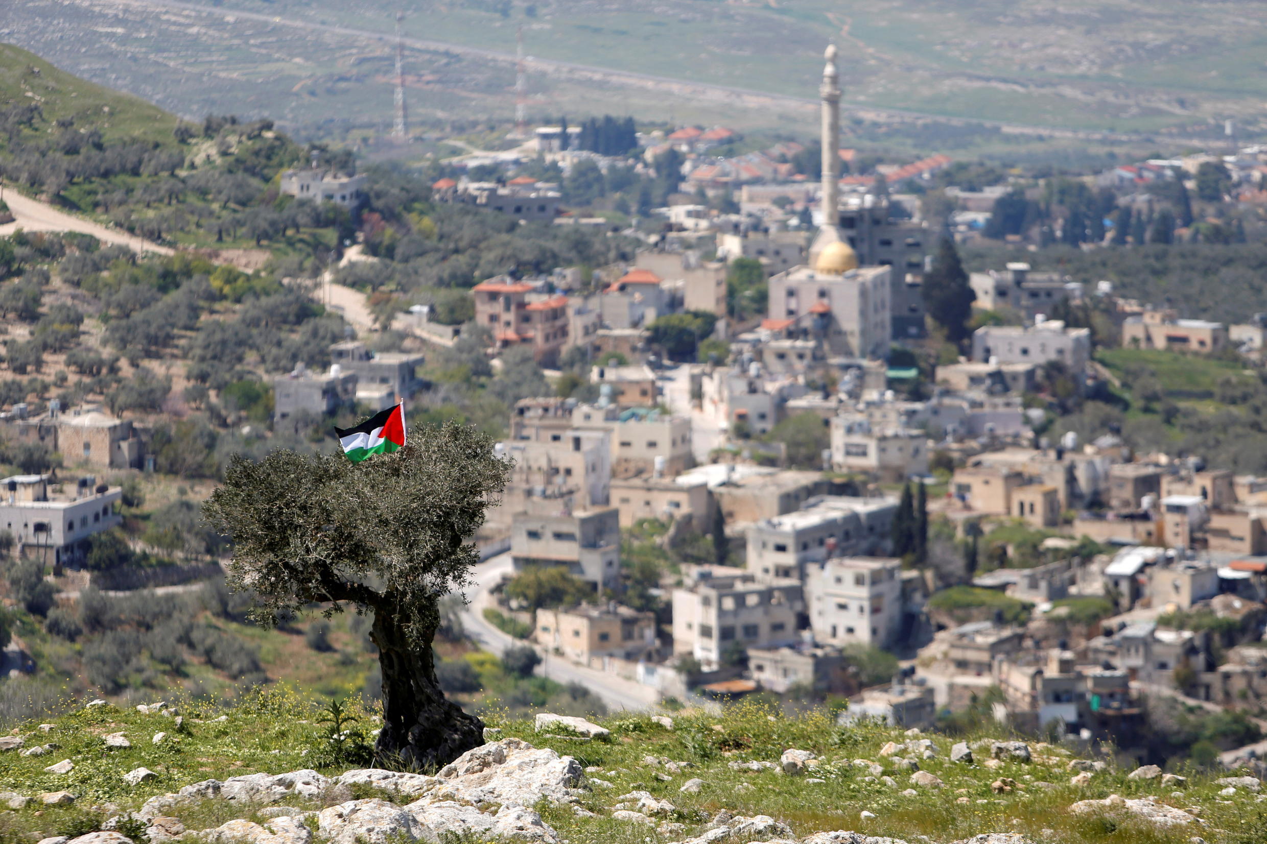 A Palestinian flag hangs on a tree during a protest against Jewish settlements in An-Naqura village near Nablus in the Israeli-occupied West Bank, on March 29, 2021.