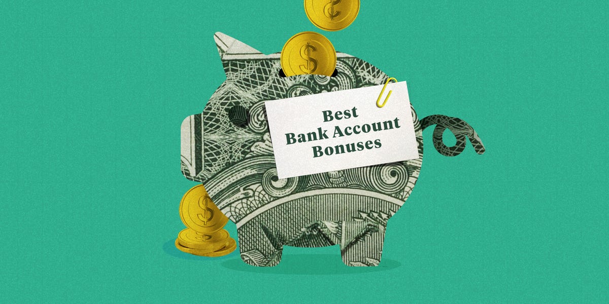 Best Savings Account Bonuses for July 2024 Money Lowdown