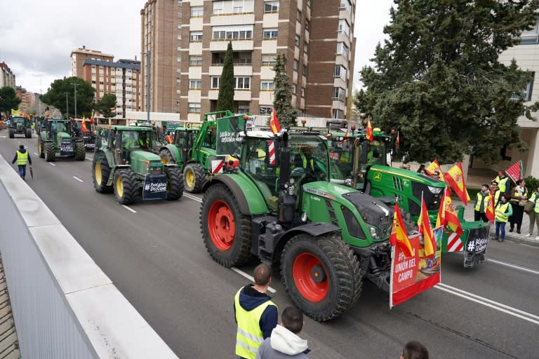 Demonstrations by farmers have taken place in recent weeks across Europe, including in Spain (CESAR MANSO)