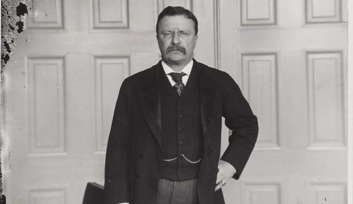 theodore roosevelt standing portrait