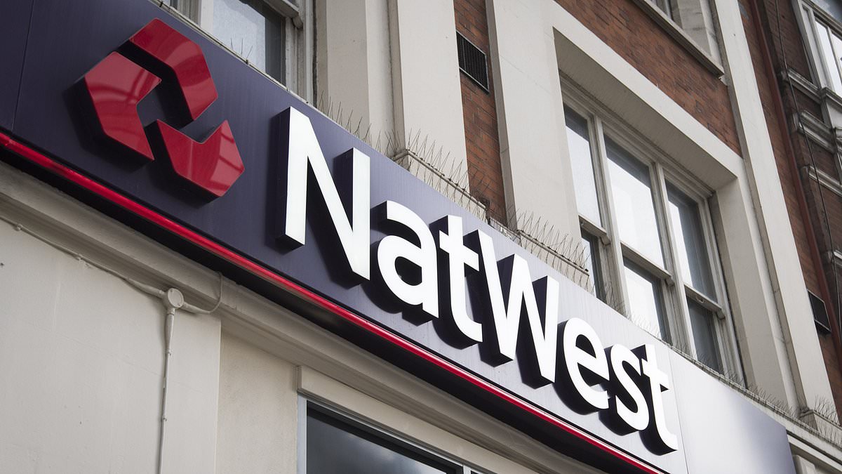NatWest follows rivals with profit slump Money Lowdown