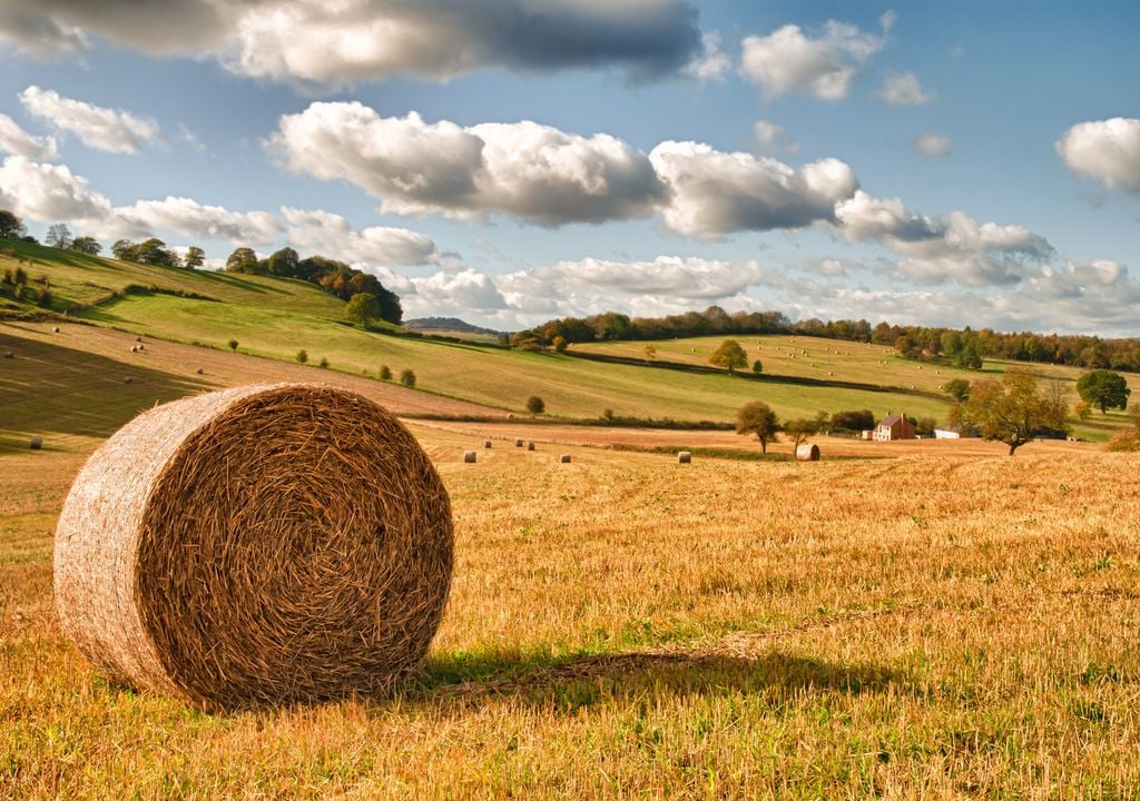 Farms are reliant on healthy soil and water