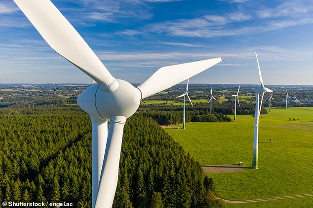 Drop in share price: But Midas has long been a fan of the Octopus Renewables Investment Trust