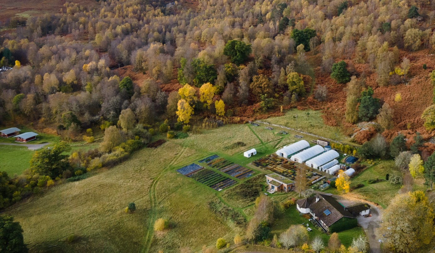 An aerial shot of the tree nursery at Dundreggan rewilding centre