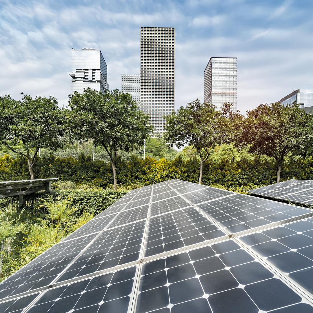 Solar farm with trees and buildings in the distance 