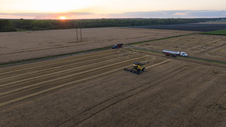 Ahold Delhaize USA undertakes first farm-to-shelf regenerative agriculture pilot