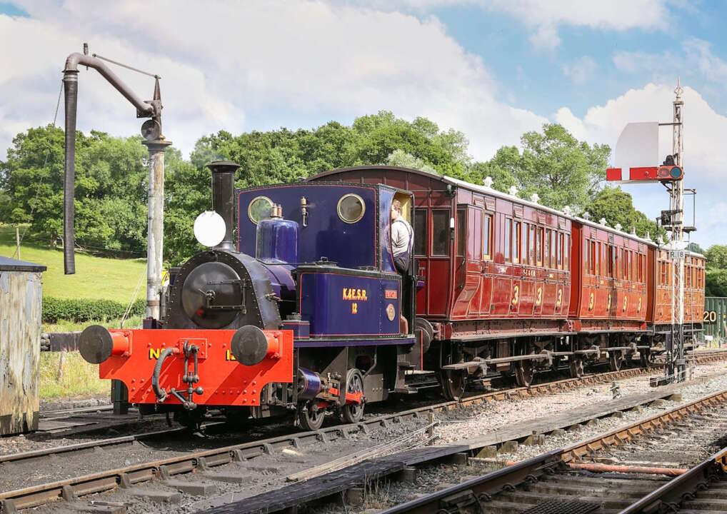 Marcia stands at Rolvenden with a short vintage train