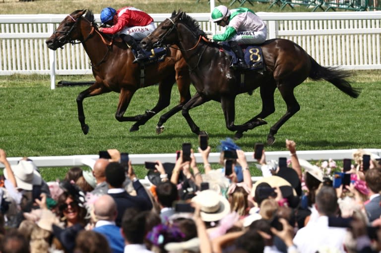 Royal Ascot is a heady mix of fashion and top-class racing but it is generally accepted the prize money needs boosting (HENRY NICHOLLS)