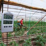 Evolving EU-Kazakhstan relations offer new agriculture market opportunities