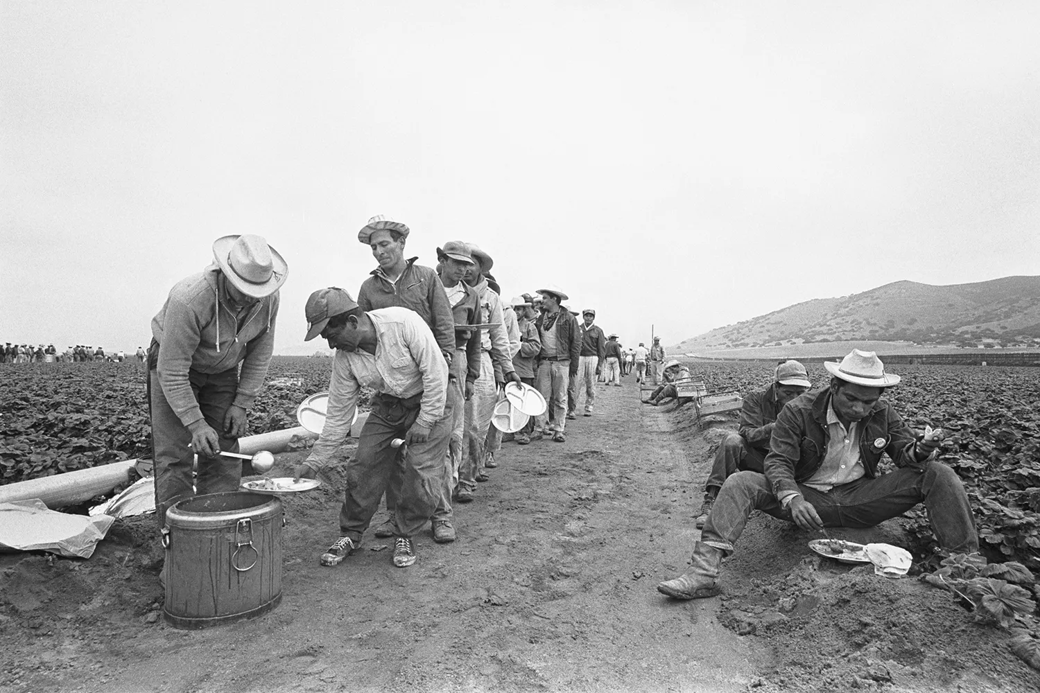 This black-and-white historic photo from 1963 shows braceros, agricultural workers, lining up with plates between rows of a field as they wait in line for a meal. A man at the front of the line ladles food into their plates from a big metal pot.